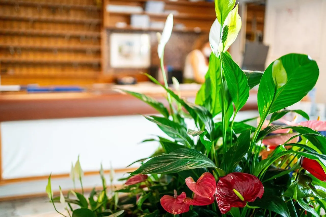 Hotel Stacchini Cesenatico